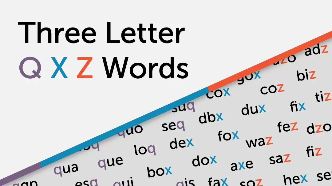 Three Letter Q X Z Words graphic
