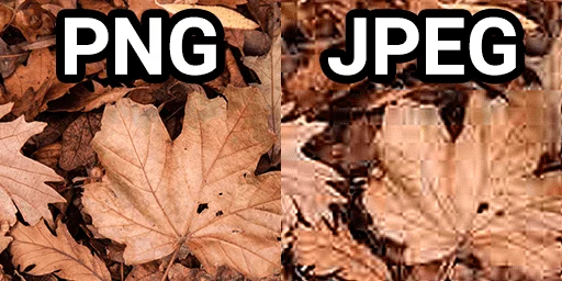Image of leaves in high quality on the left and image of leaves in low quality on the right